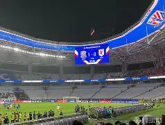 里程碑夜！上海申花主帅复盘，欧超杯集结日刷纪录，赛场秩序良好，临场指挥获称赞的简单介绍-mk下载