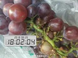 animation濡备綍镌囧畾鎾斁鍝竴宁殑锷敾-mk体育